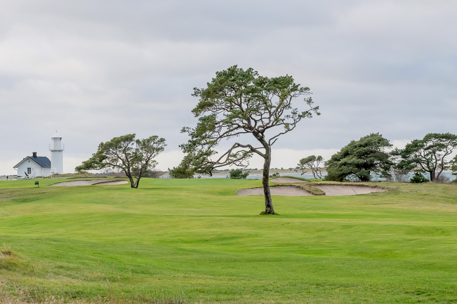Kronholmens golfbana Västergarn Övide 902