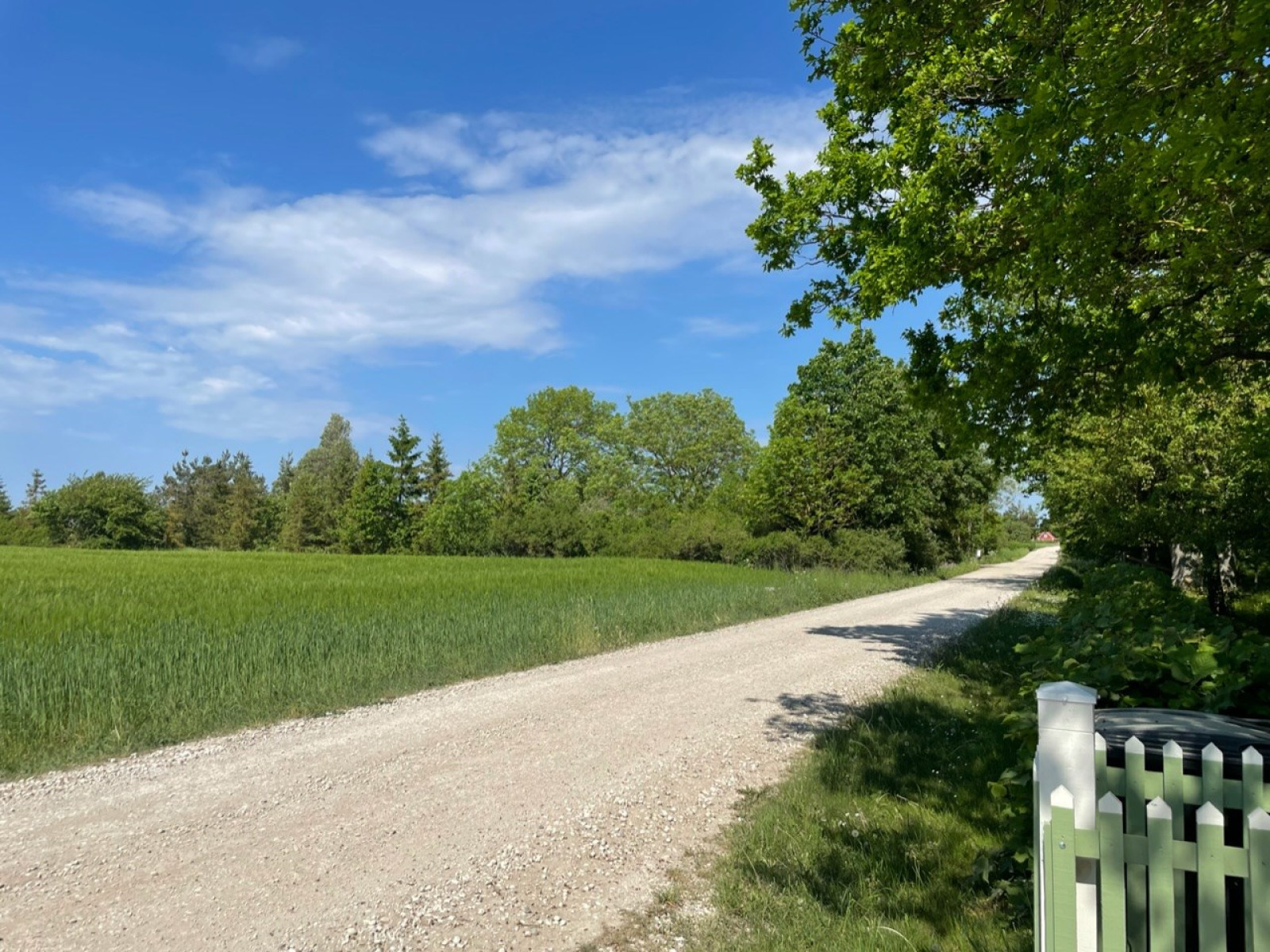  Väskinde Skäggs 918