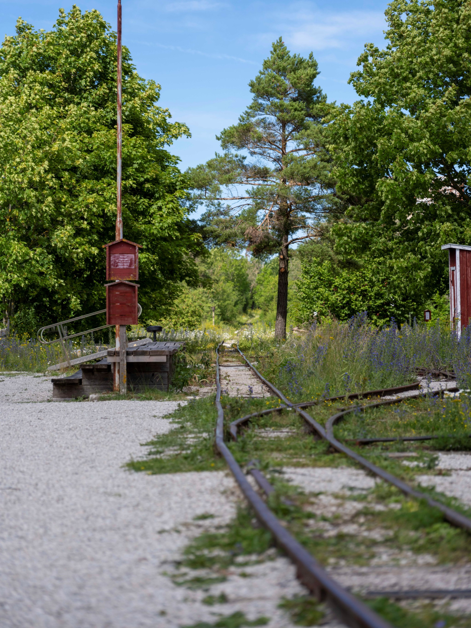  Fleringe Lickedarve 382