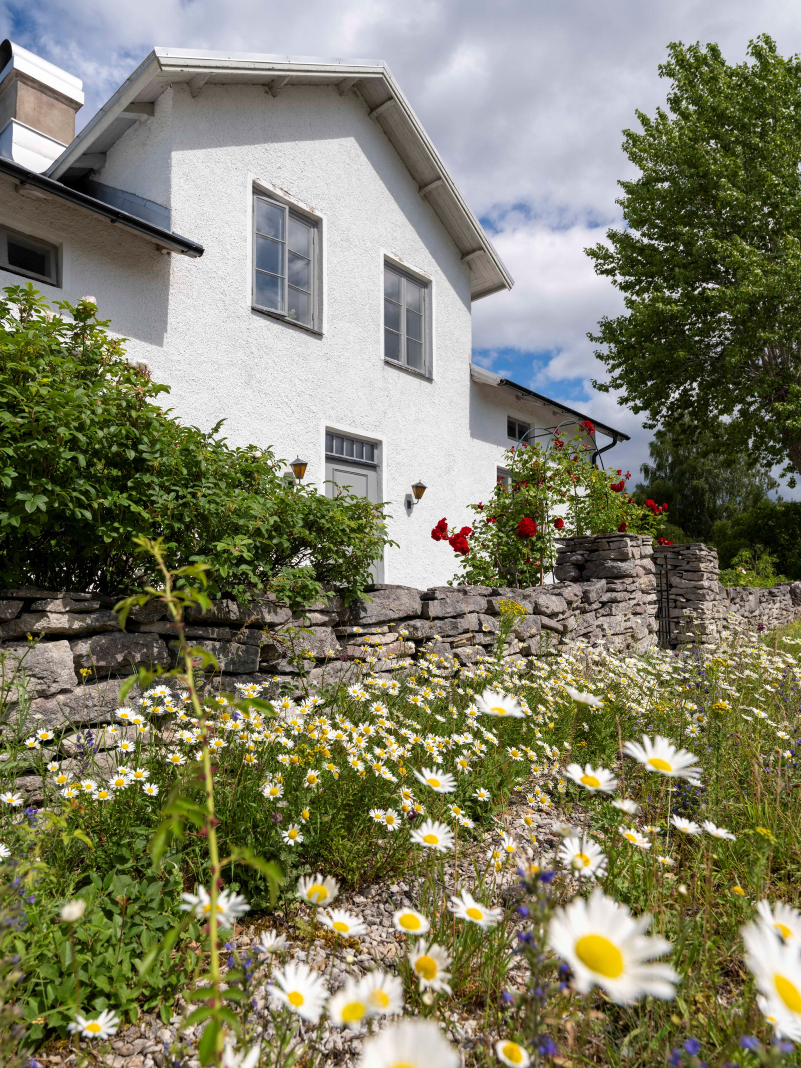  Fleringe Lickedarve 382
