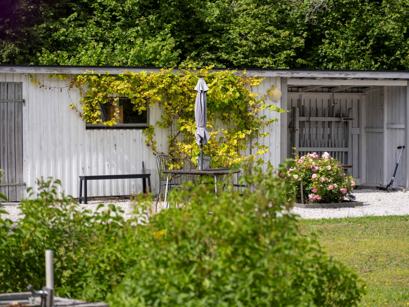  Fleringe Lickedarve 382