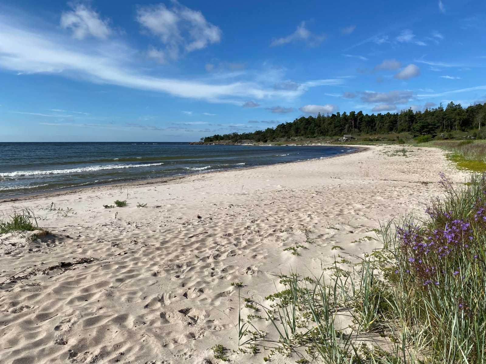 Danbostranden Gammelgarn Skogby 747