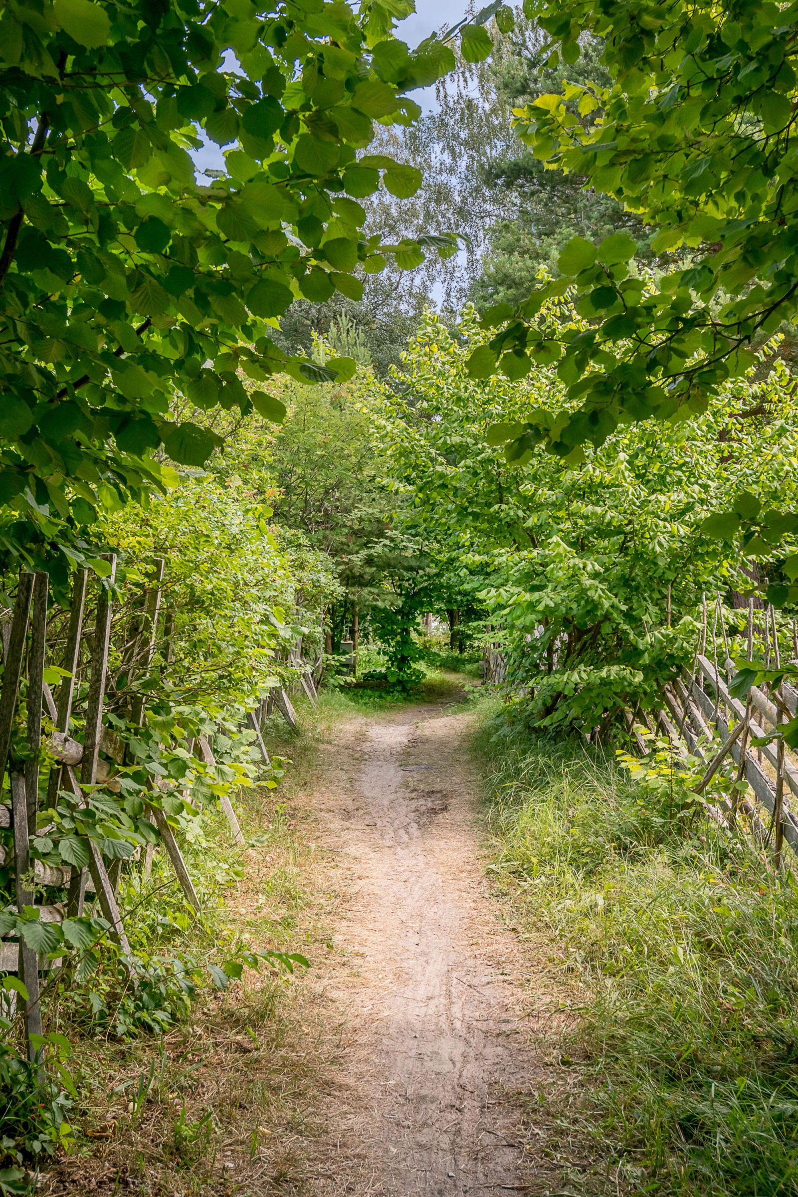  Fårö Vinorvägen 28