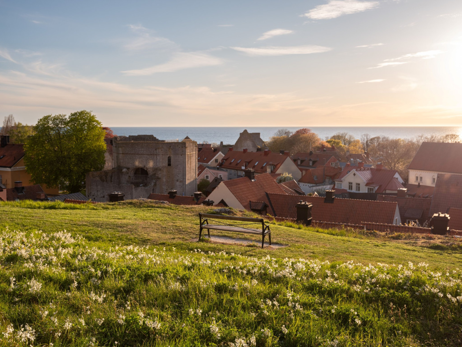 Rackarbackens närområde, Kyrkberget  Rackarbacken 14
