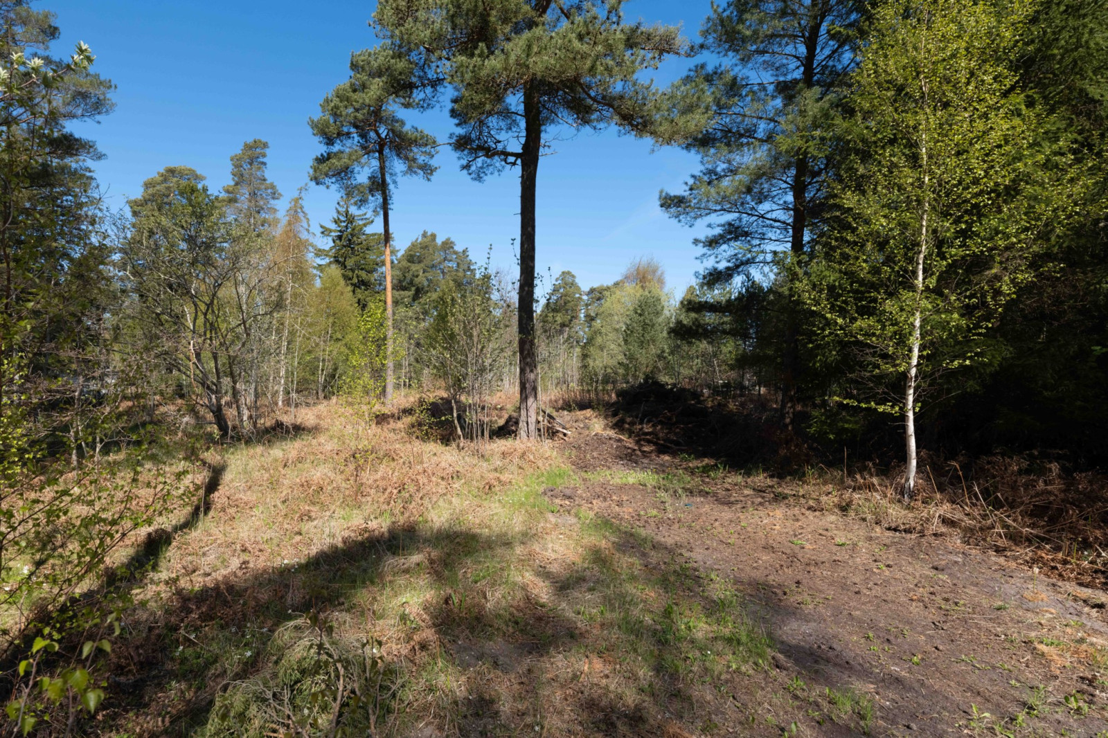  Släktäktsvägen 9B