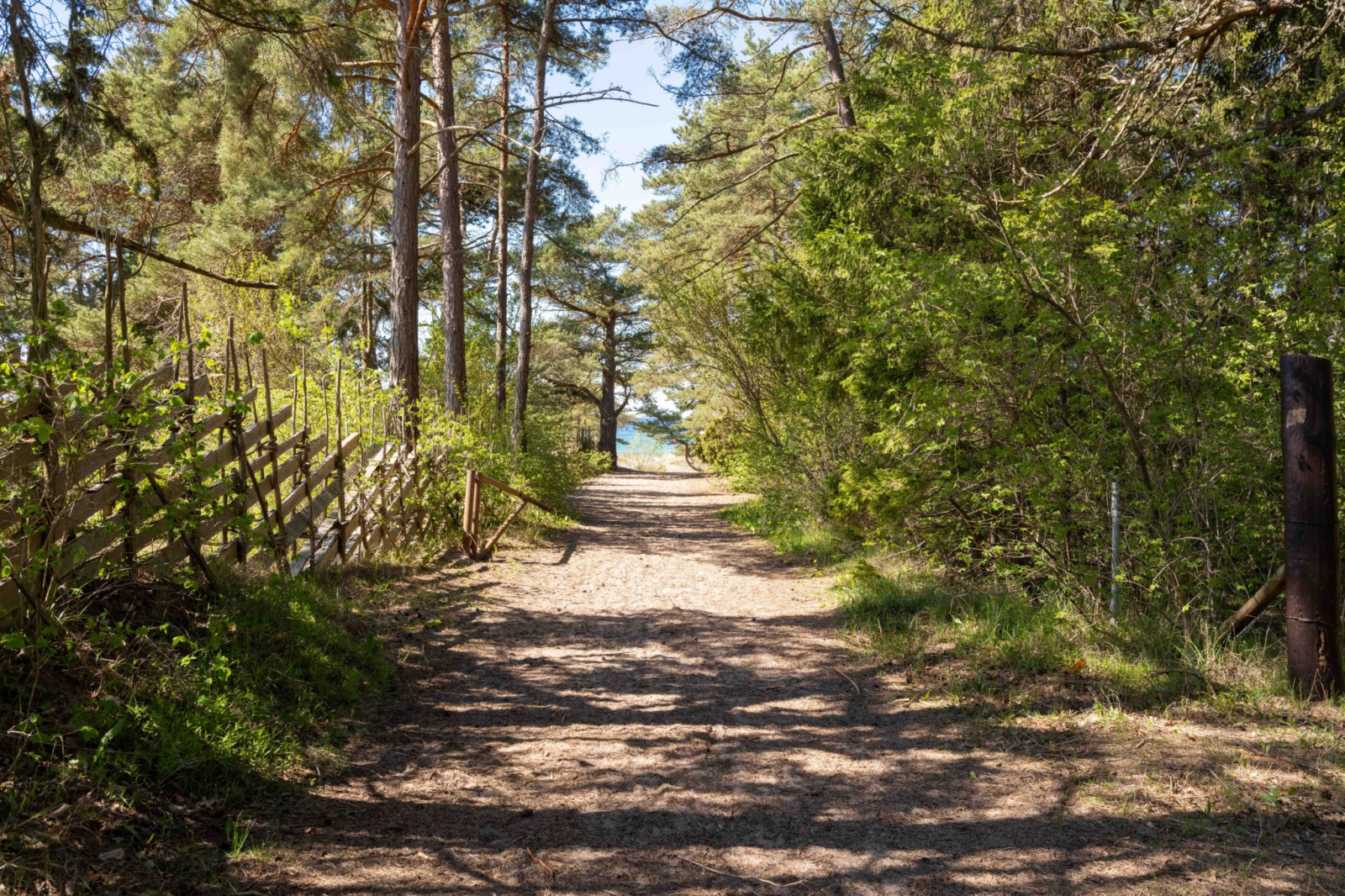  Släktäktsvägen 9B
