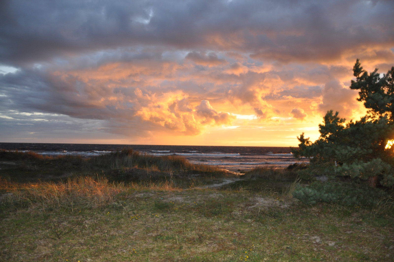  Släktäktsvägen 11A