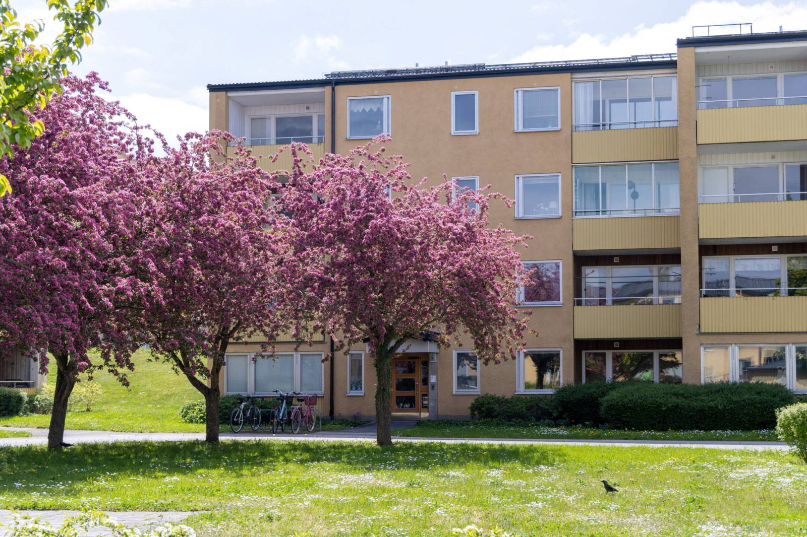  Byrumsgatan 7
