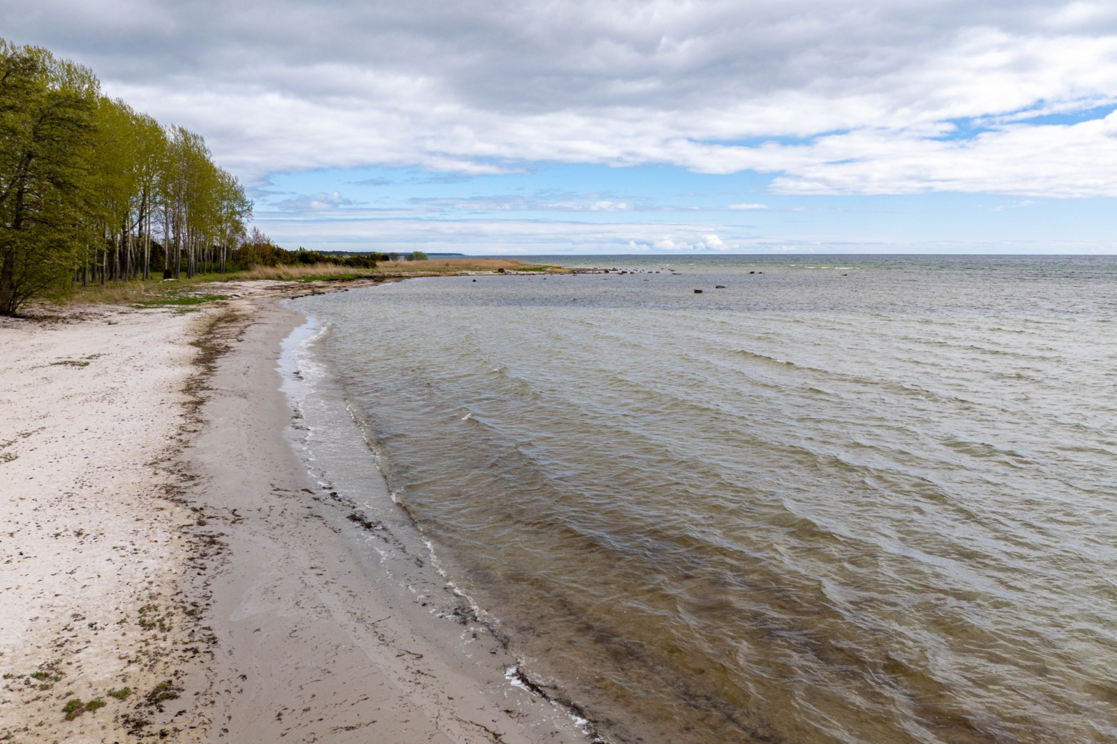  Fårö svens 1110