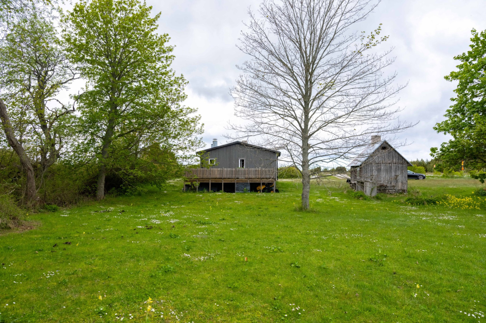  Fårö svens 1110