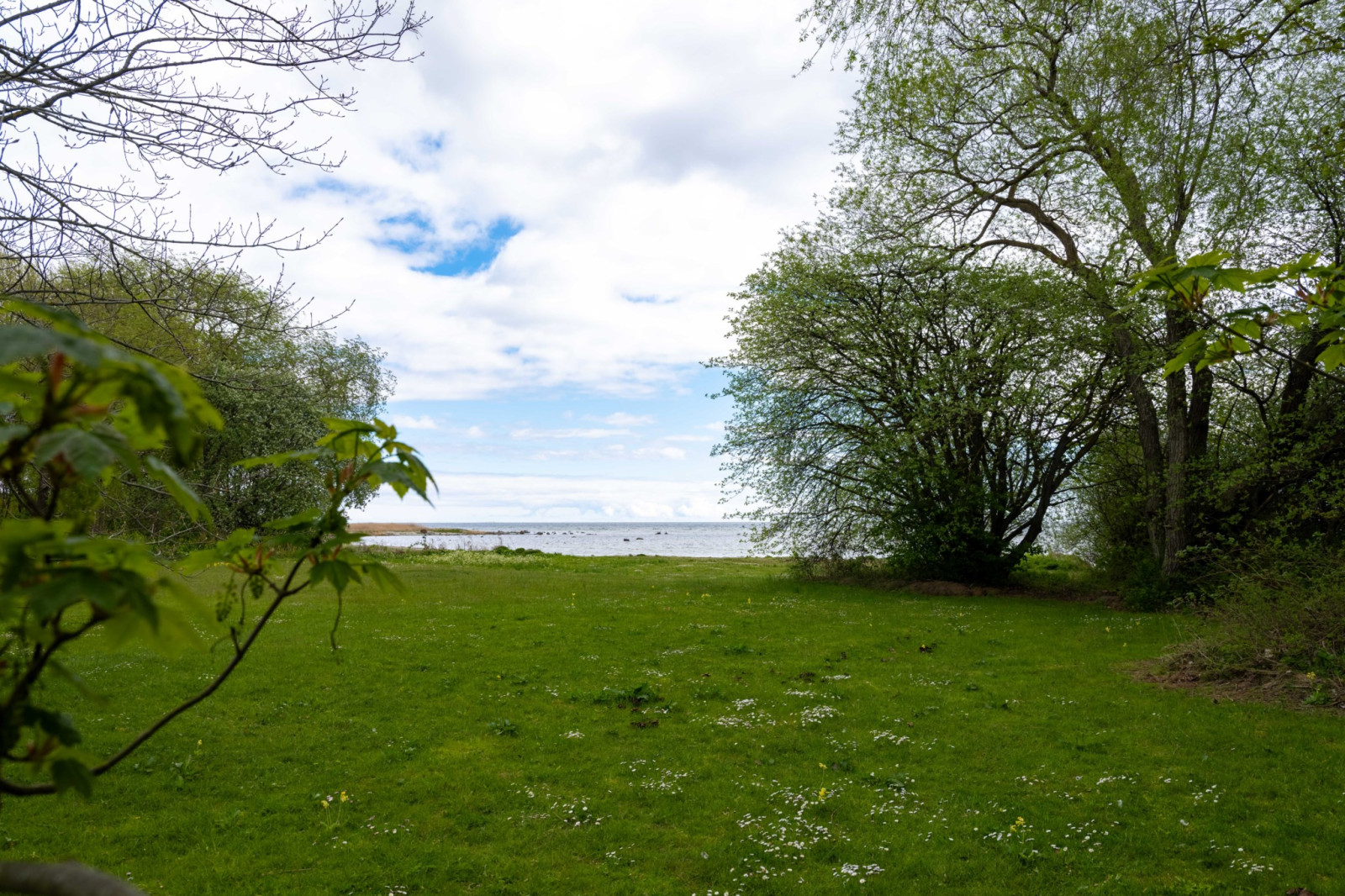  Fårö svens 1110