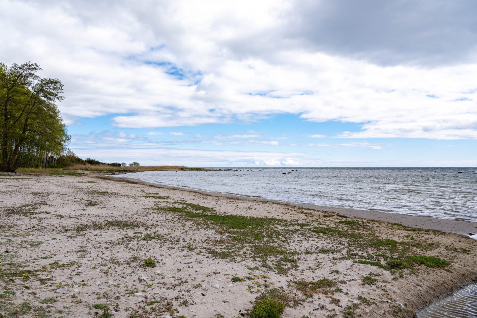  Fårö svens 1110