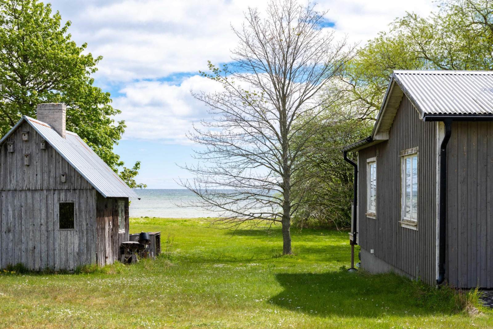  Fårö svens 1110