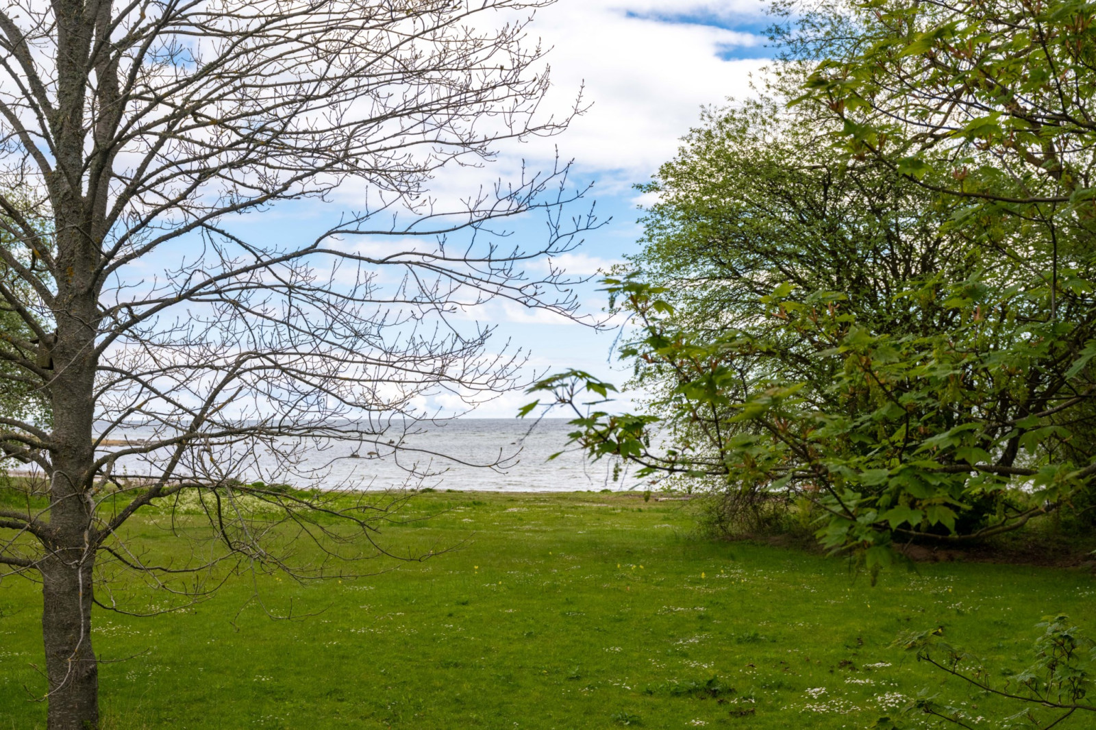  Fårö svens 1110