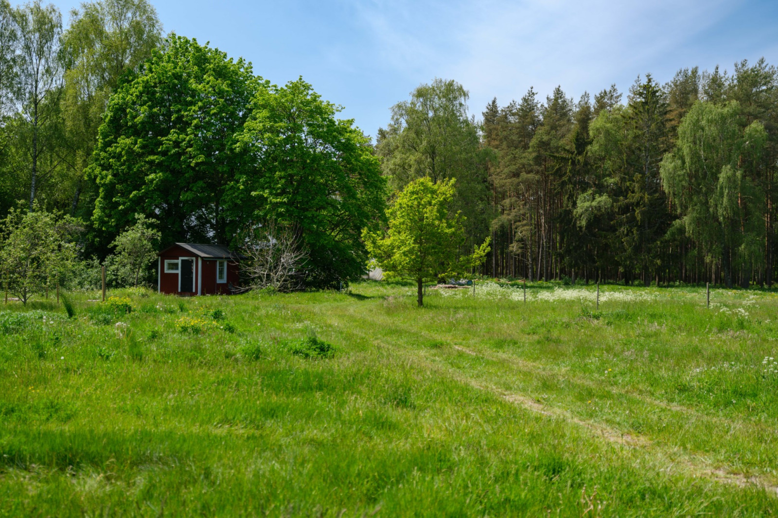  Mästerby Ajmunds 616