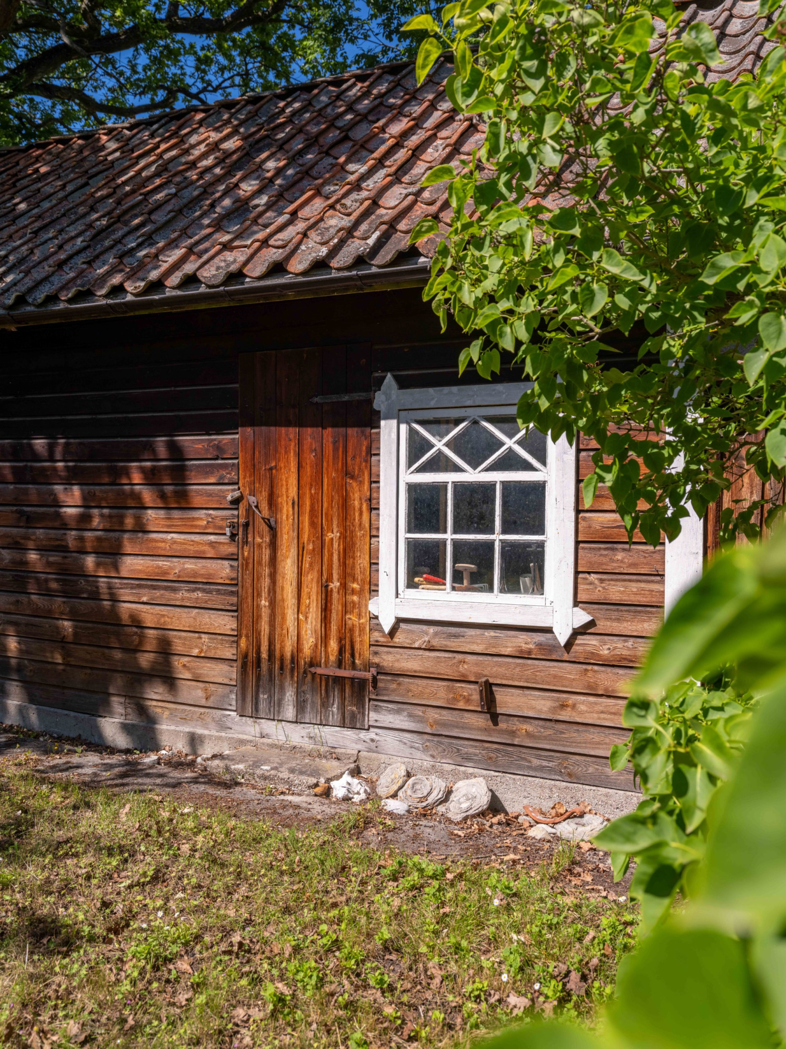 Skolkvior 7