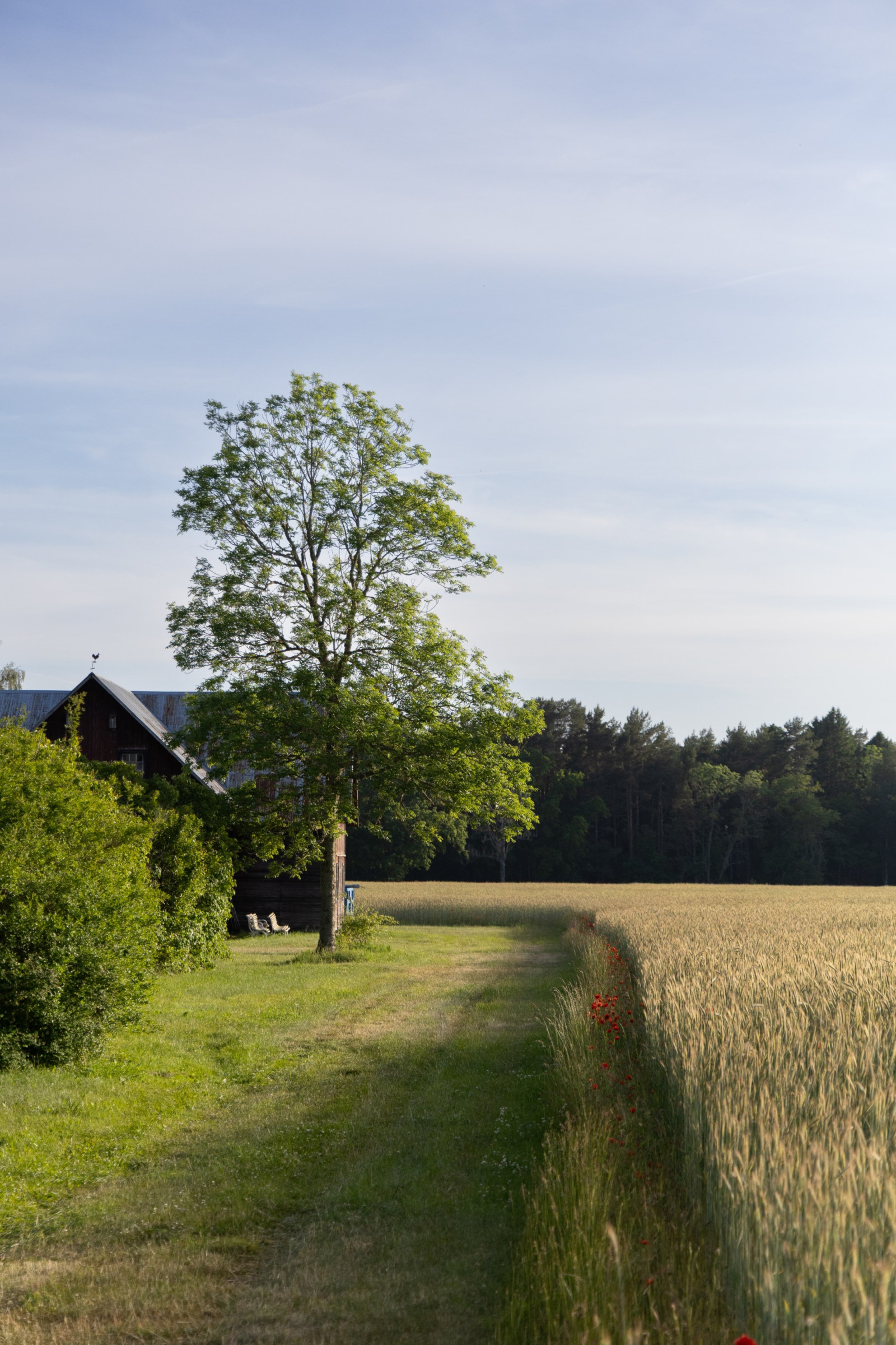  Eksta Jakobs 409