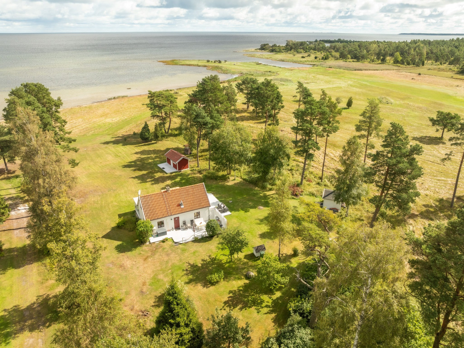 Orörda strandängar söderut Anga Hemmungs 384