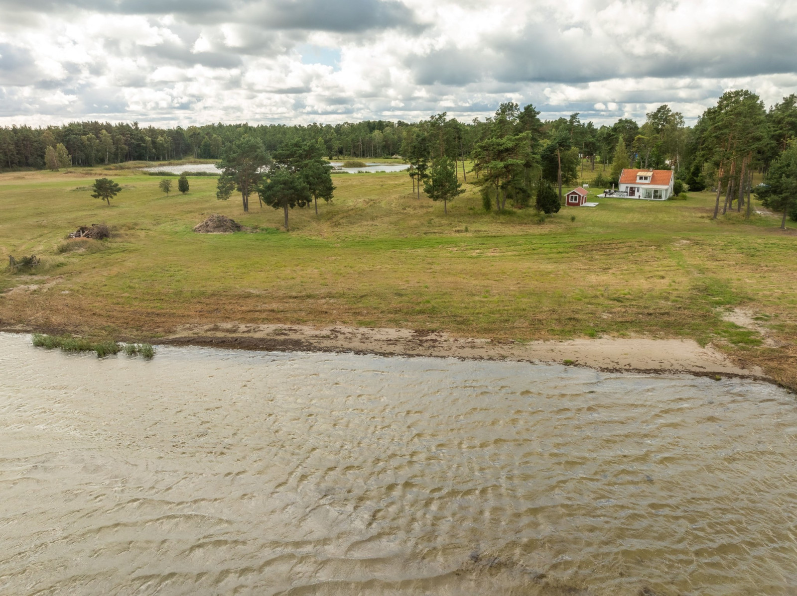 Rikt djur- och fågelliv i omgivningarna Anga Hemmungs 384