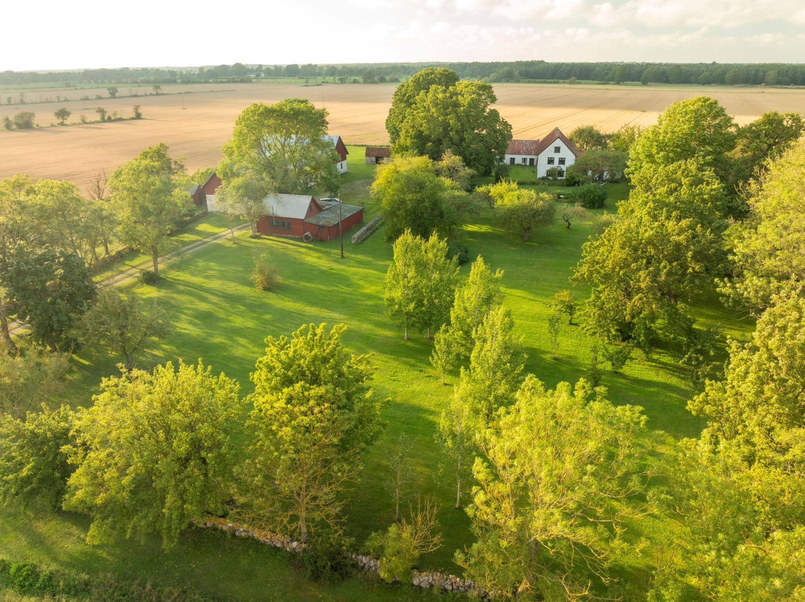 Ett vackert kulturarv inbäddat i frodig grönska på södra Gotland Havdhem Stora Hajslunds 616