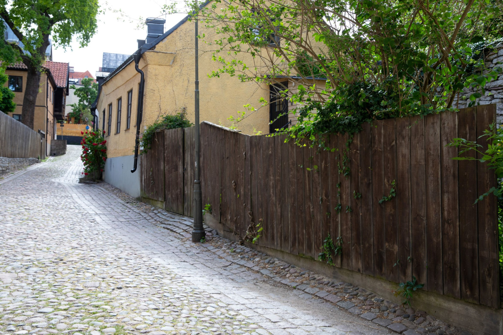 Plank avgränsar tomten mot gränden Lybska gränd 4