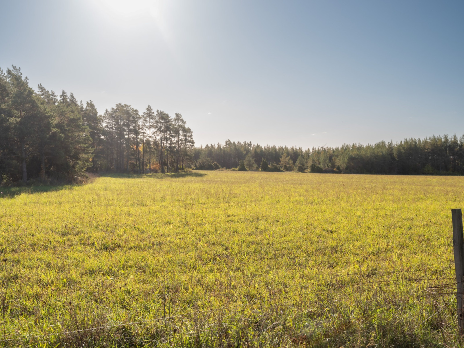  Hangvar Kullshage 828