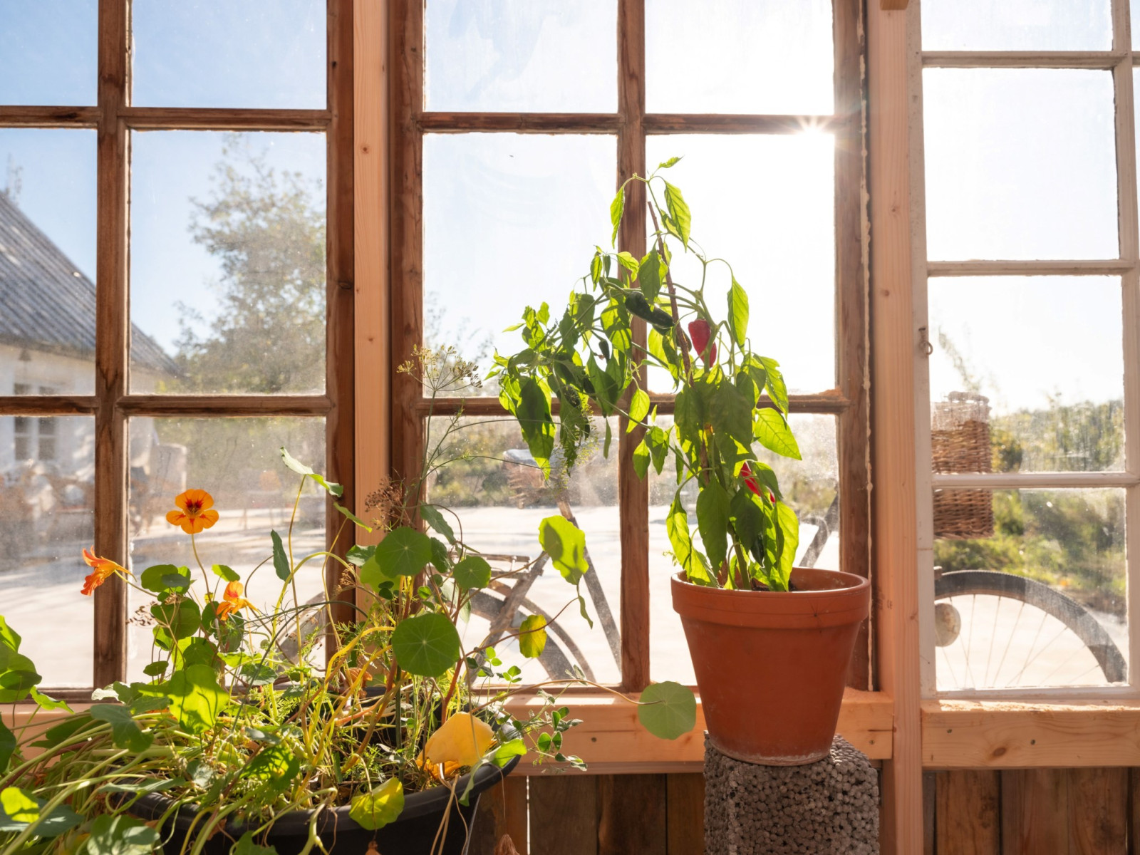  Hangvar Kullshage 828