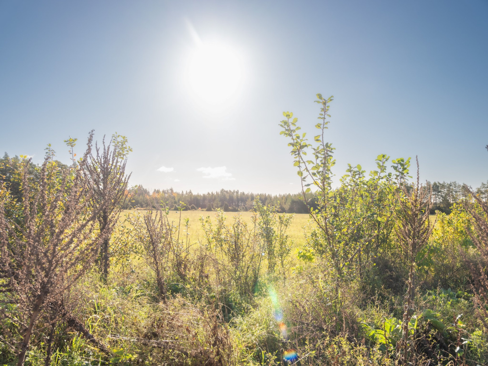  Hangvar Kullshage 828