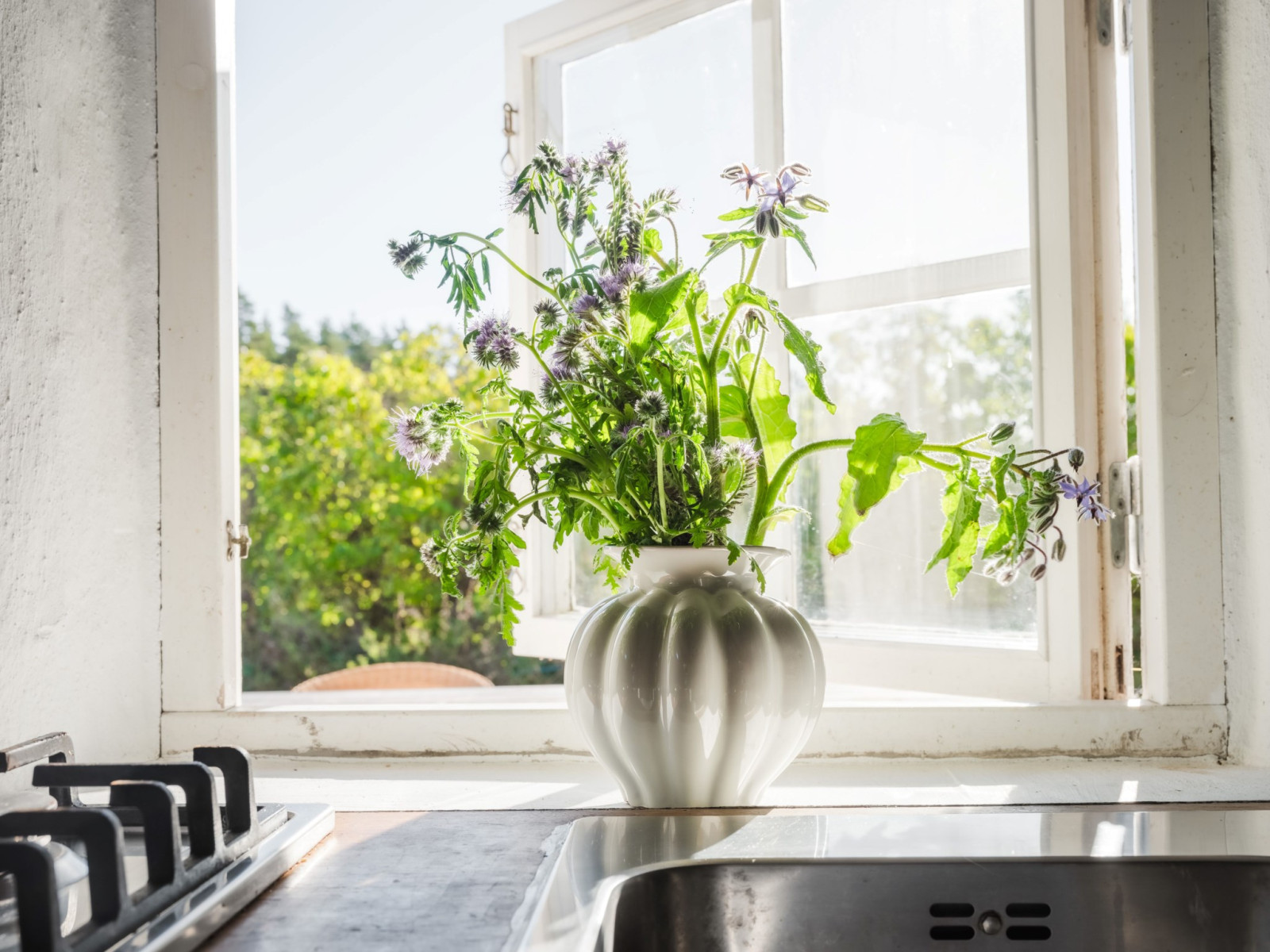  Hangvar Kullshage 828