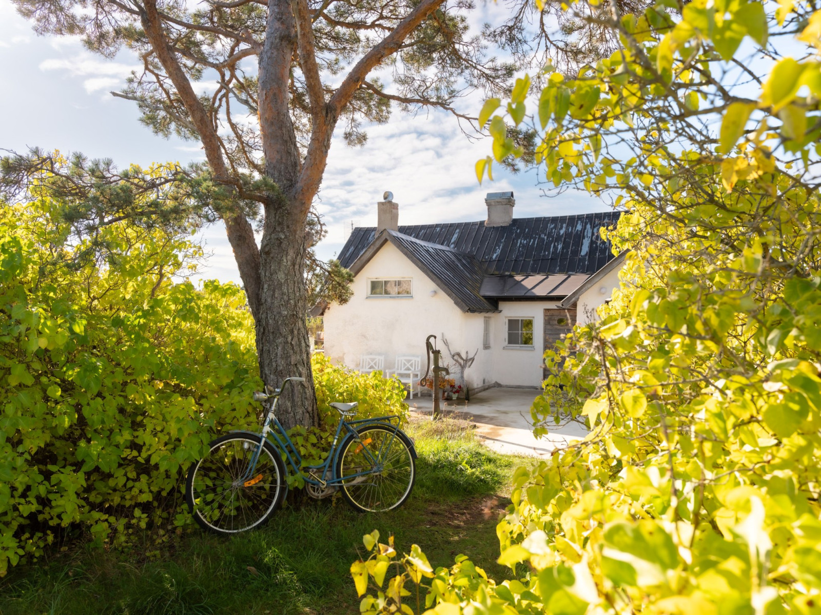  Hangvar Kullshage 828