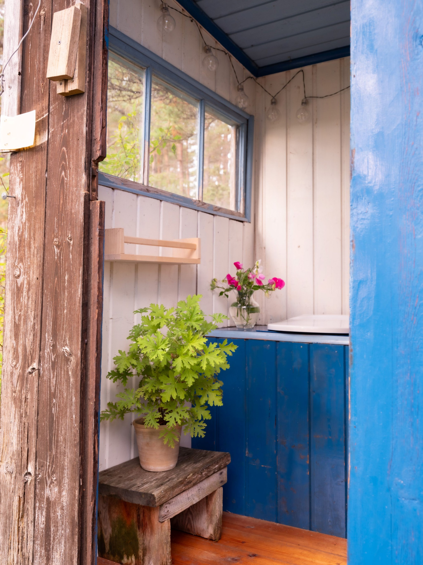  Hangvar Kullshage 828