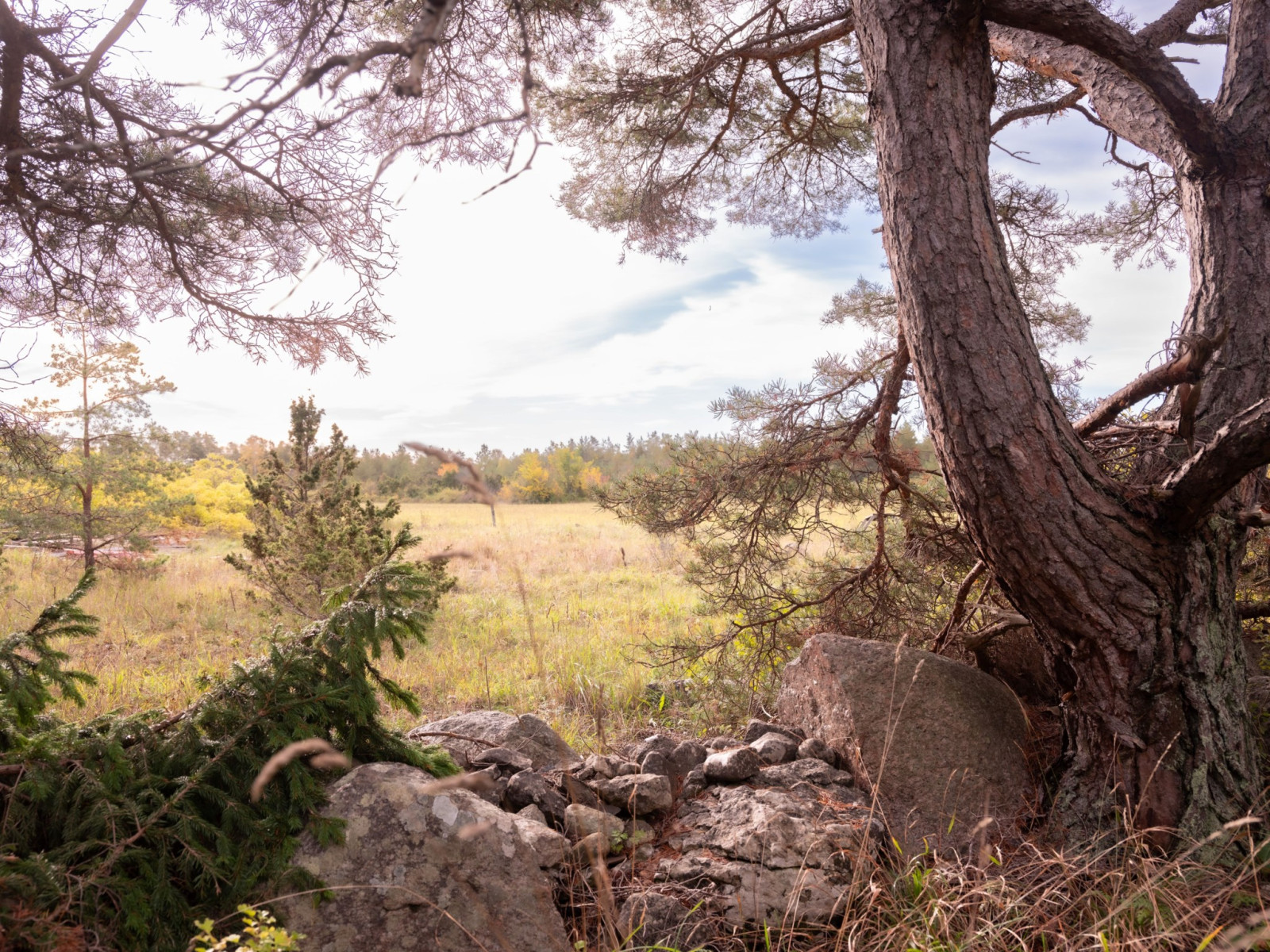  Hangvar Kullshage 828