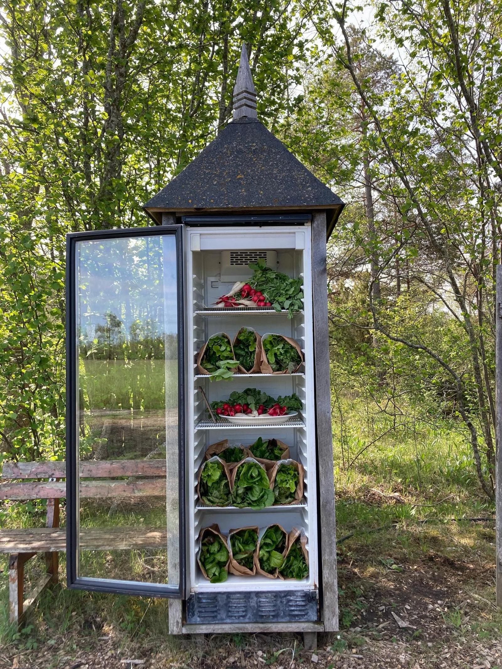  Hangvar Kullshage 828