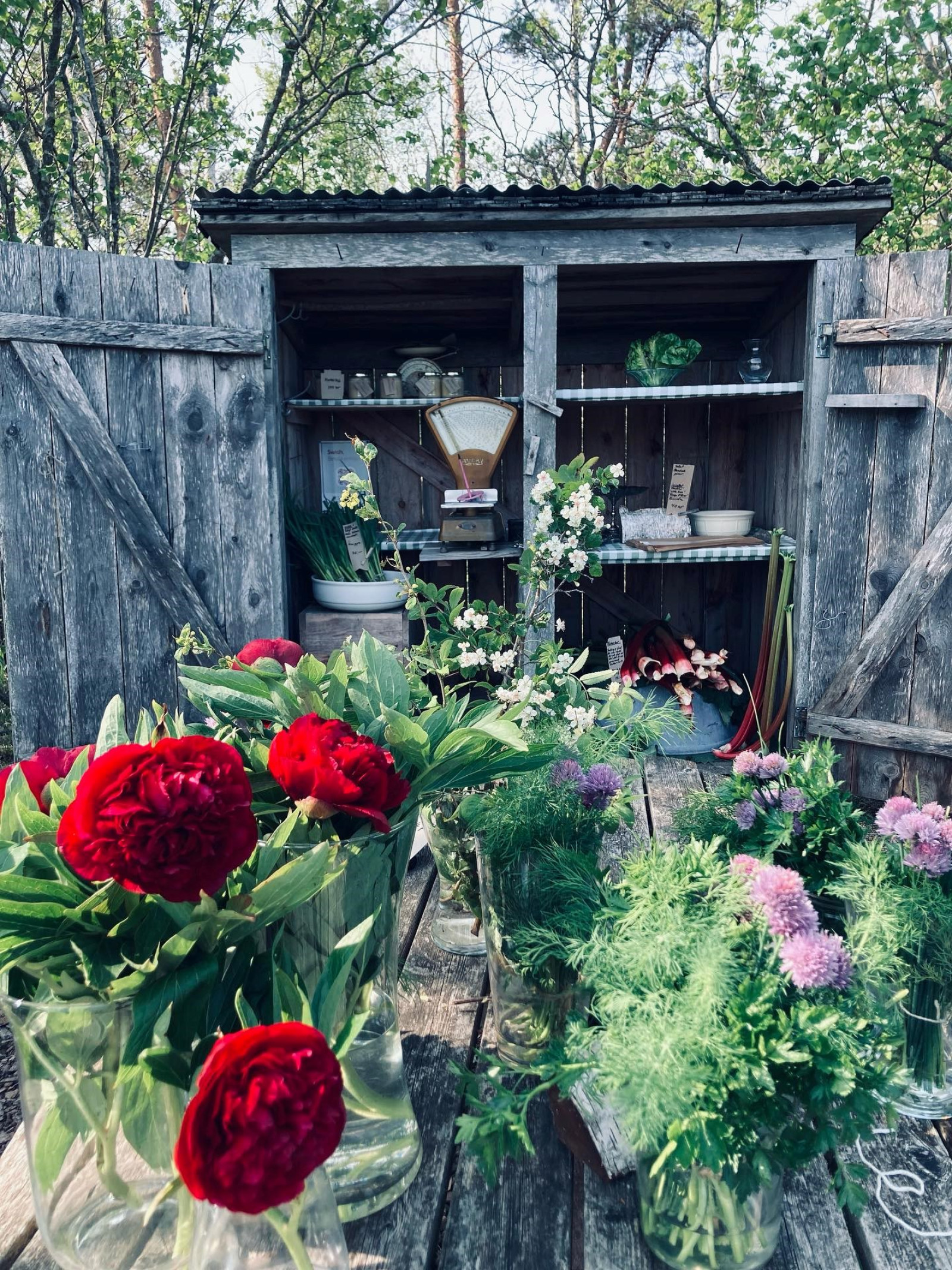 Kullshagebruk - Skåpet i skogen, Gotlands mest otillgängliga gårdsbutik Hangvar Kullshage 828