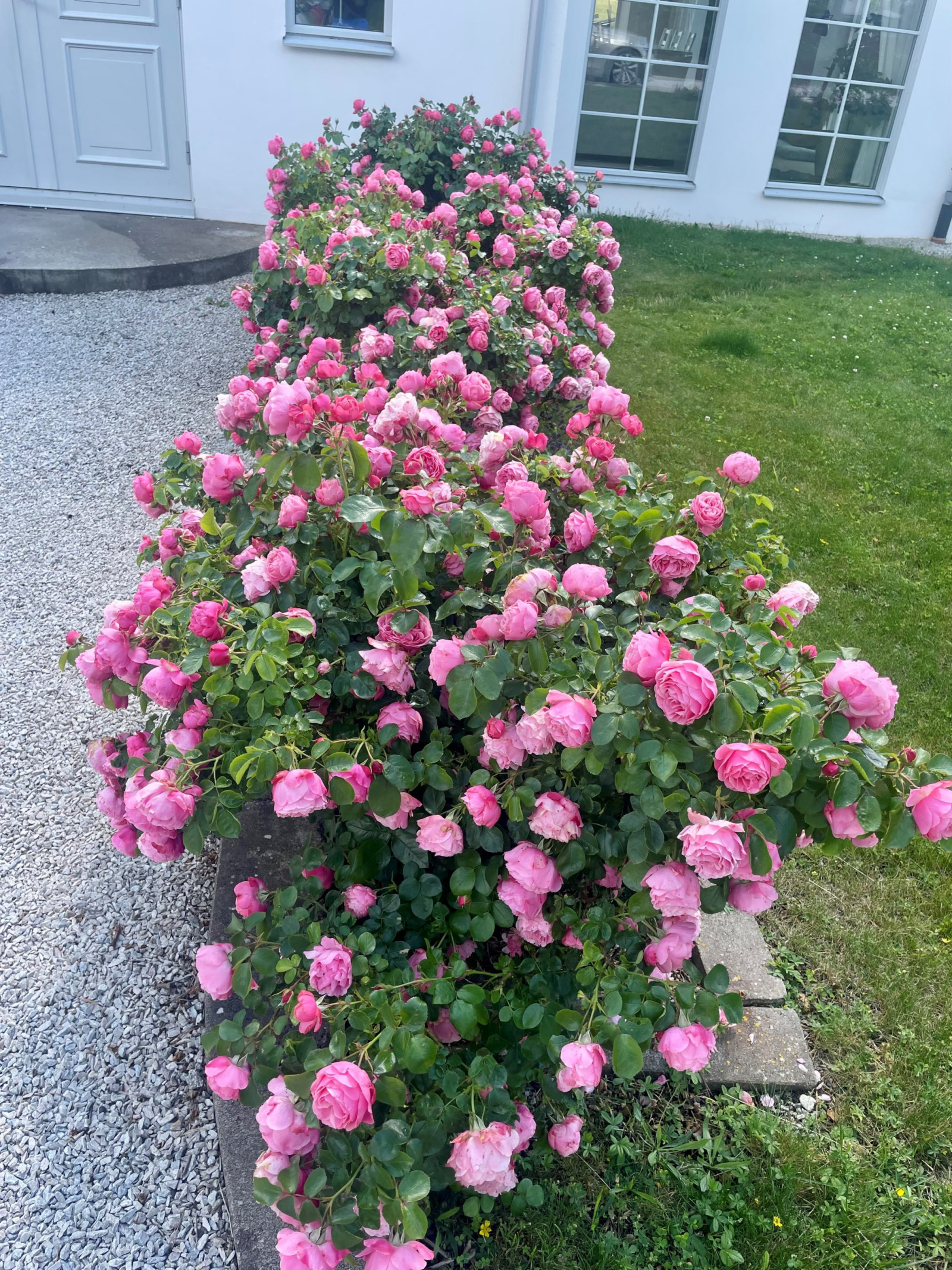  Högklint Kusevägen 9D