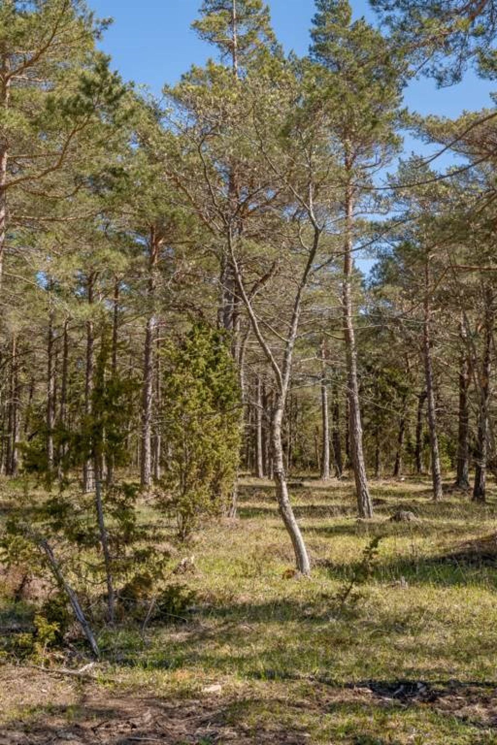  Stenkyrka Stenkyrkehuk 361K