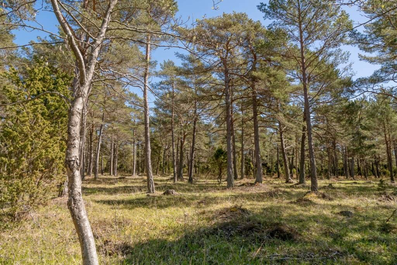  Stenkyrka Stenkyrkehuk 361K