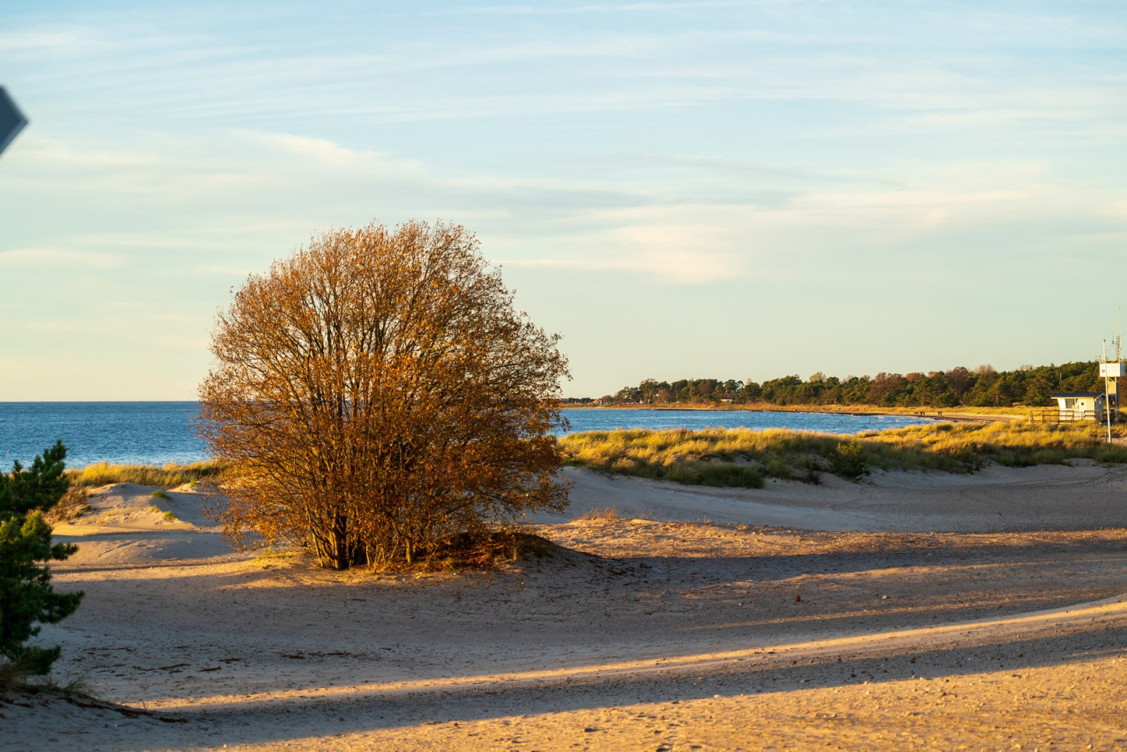  Tofta Oxbärsvägen 10C