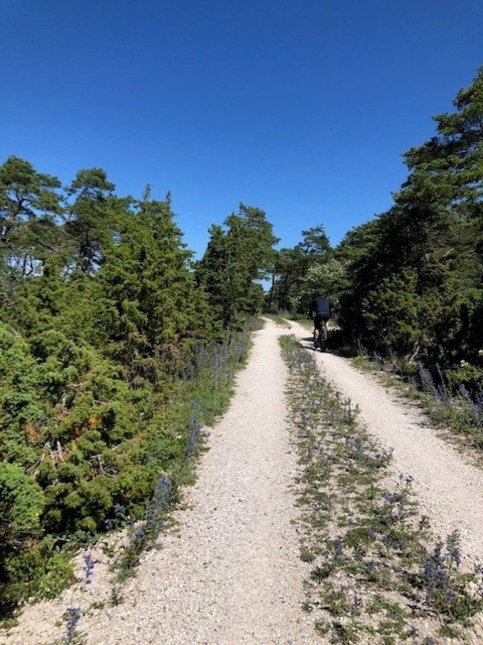  Stenkyrka Stenkyrkehuk 361K