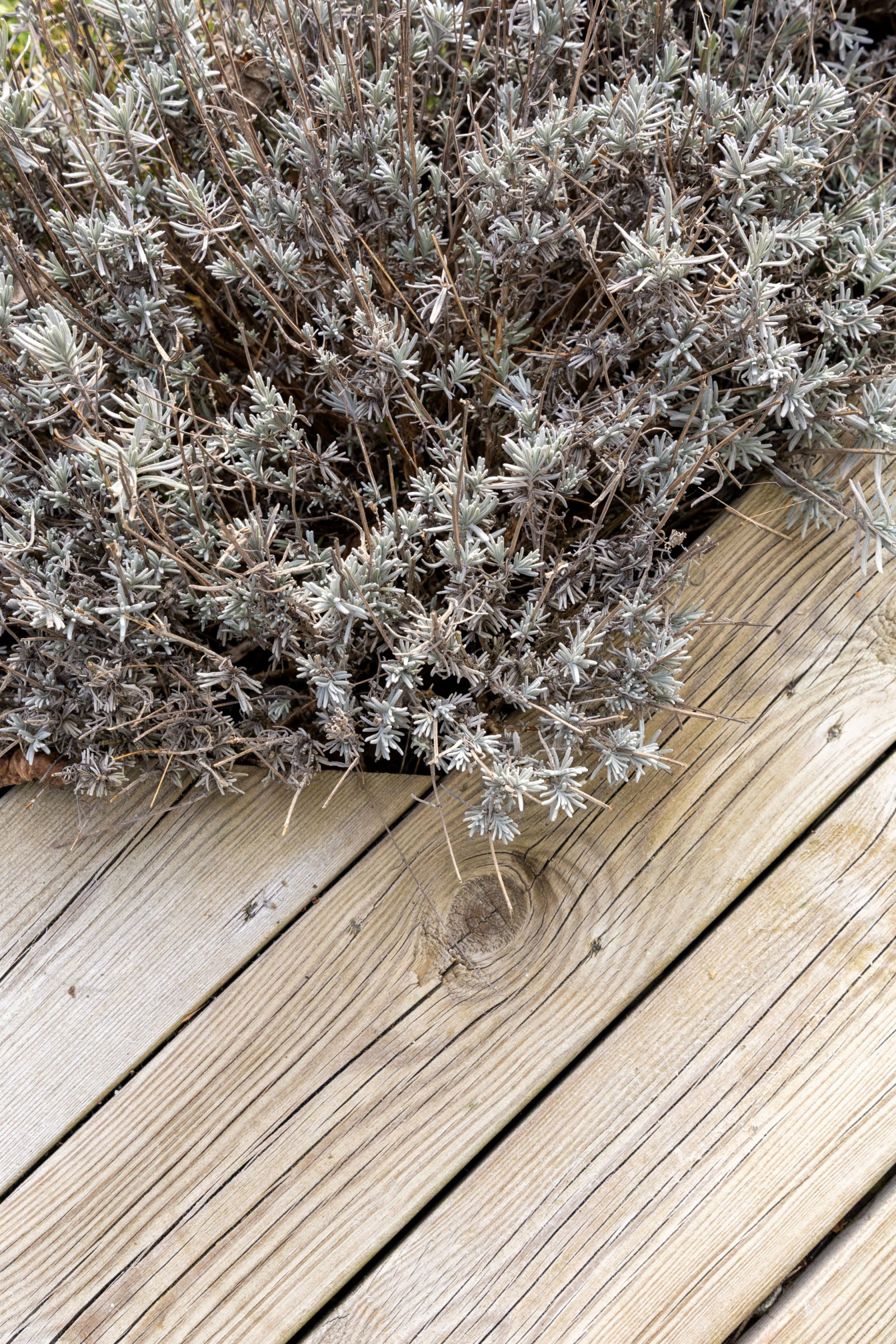  Tofta Oxbärsvägen 10C