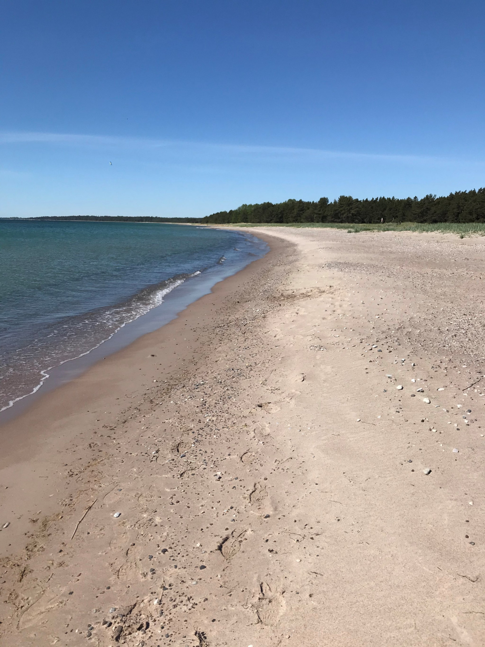  Östergarn Stora Hamre 675