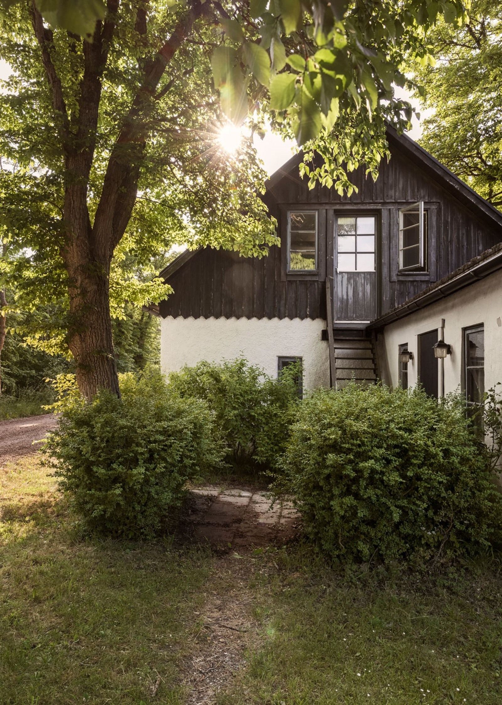  Fröjel Hägur 113
