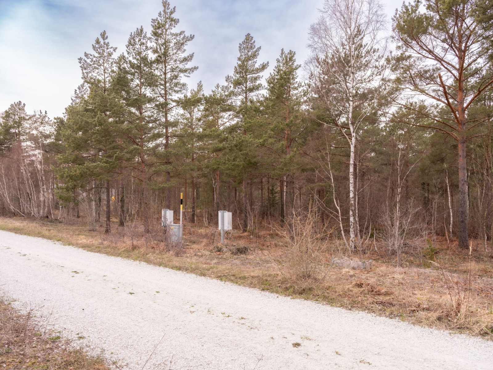  Eksta Käbbe 655F