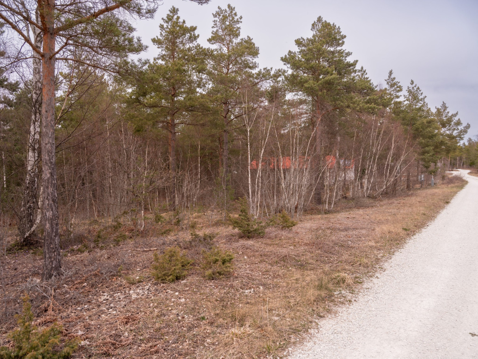  Eksta Käbbe 655F
