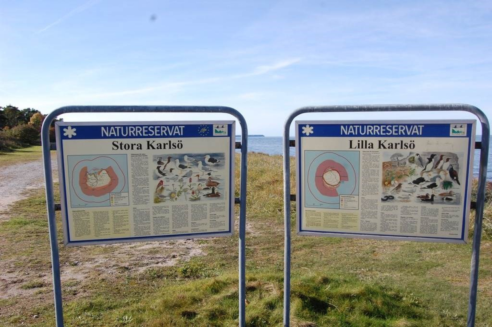  Eksta Käbbe 655F