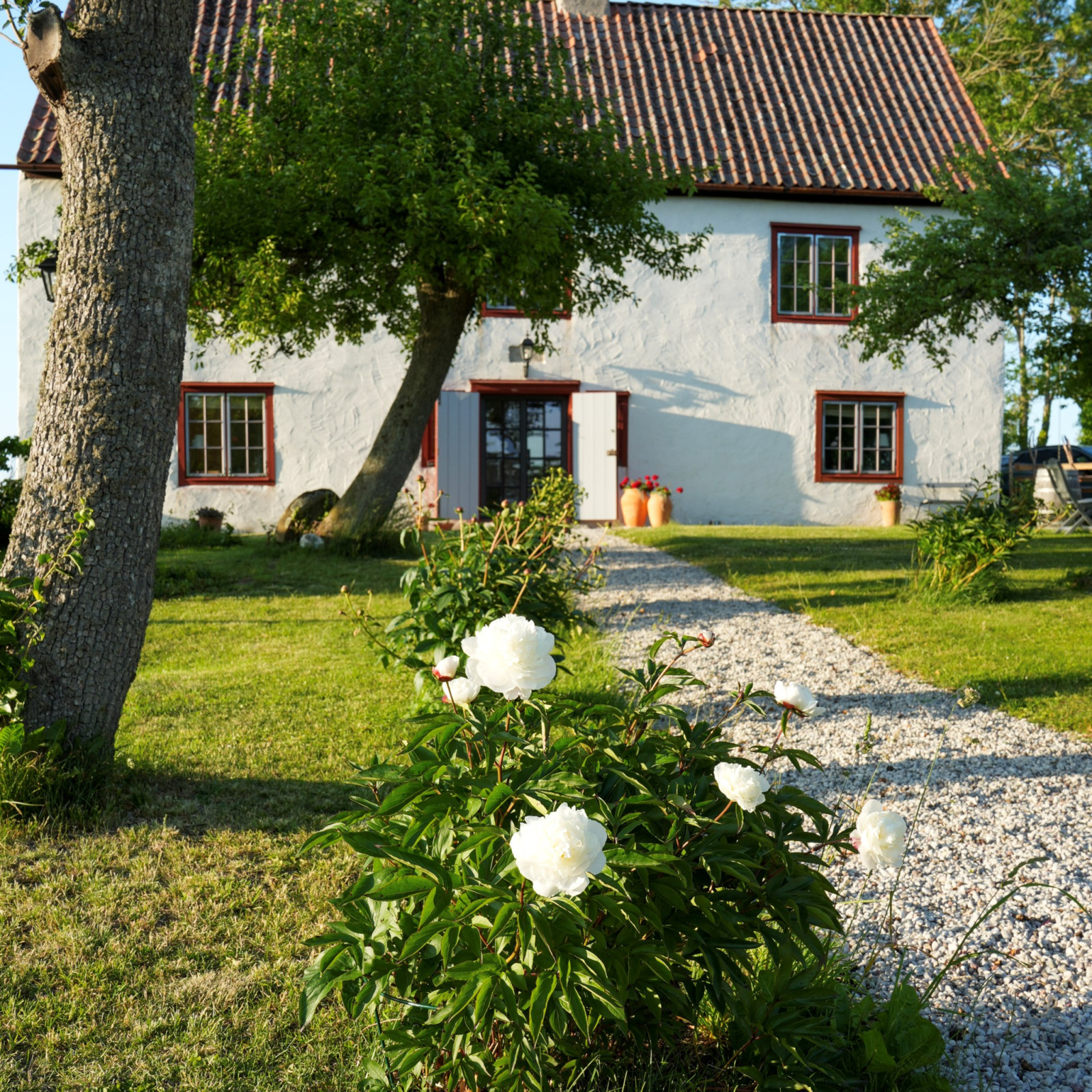  Eke Alveskogs 214