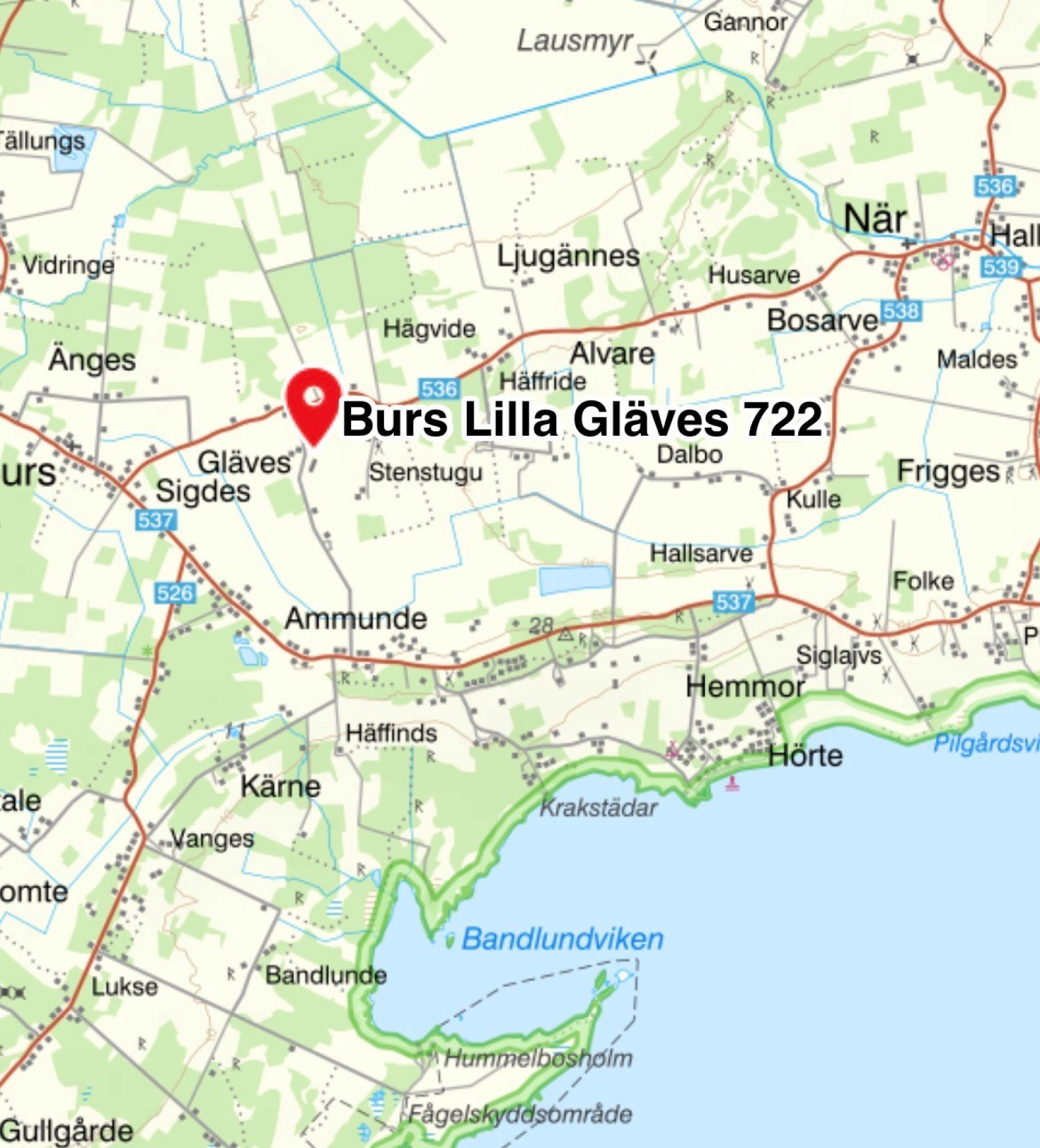  Burs Lilla Gläves 722