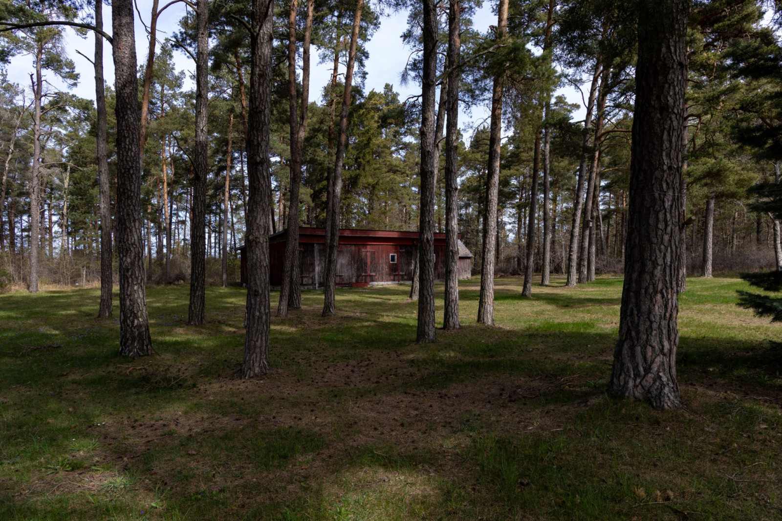  Tingstäde Myrvälder 137