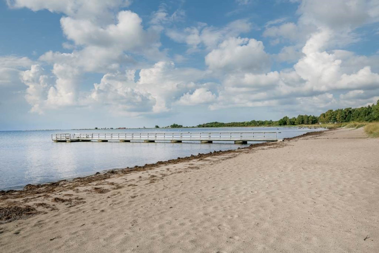  Sanda Stora Varbos 943