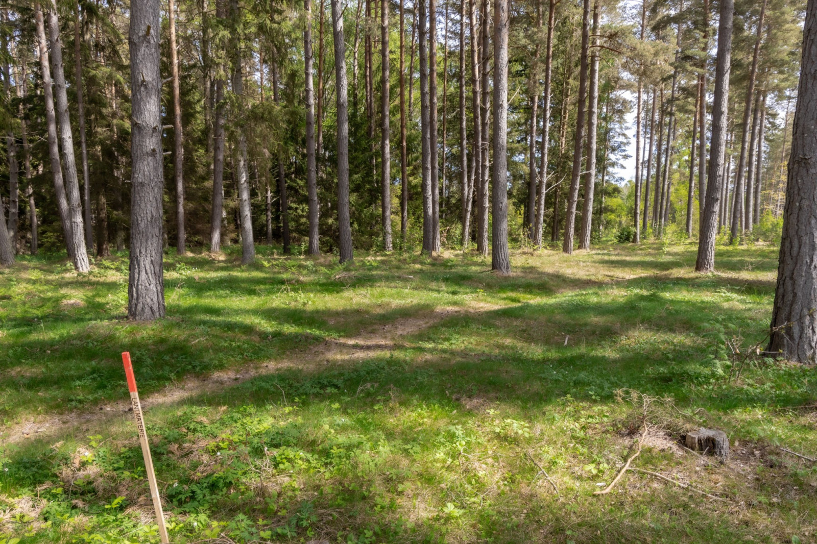  Sanda Stora Varbos 943